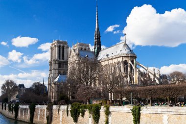 Katedral notre-dame de paris ve seine Nehri