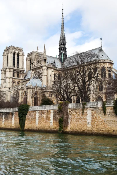 Notre-Dame de Paris e il fiume Senna — Foto Stock