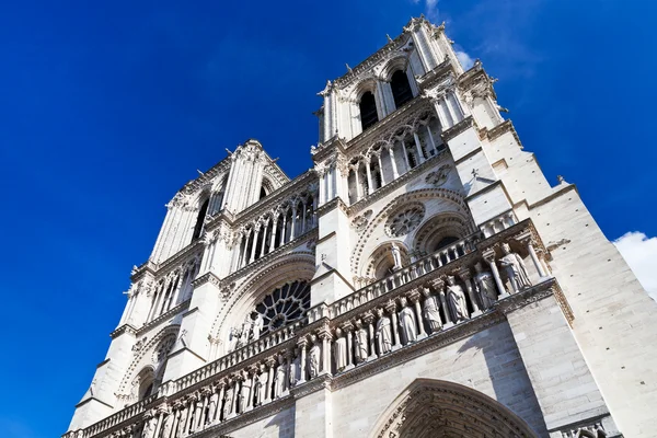 Cathédrale Notre-Dame de Paris — Photo