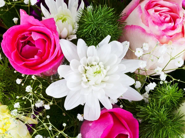 Crisântida branca e rosas rosa — Fotografia de Stock