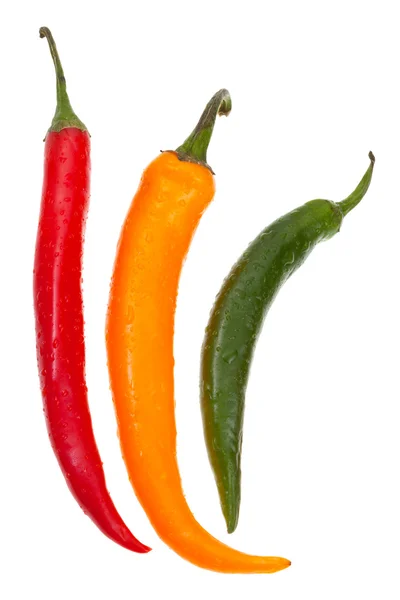 Baljor av olika varm paprika — Stockfoto