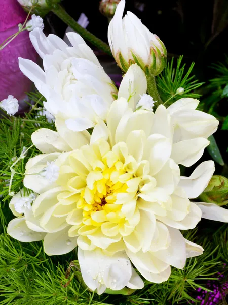 Yellow chrysanthemum in flower bouquet — Stock Photo, Image