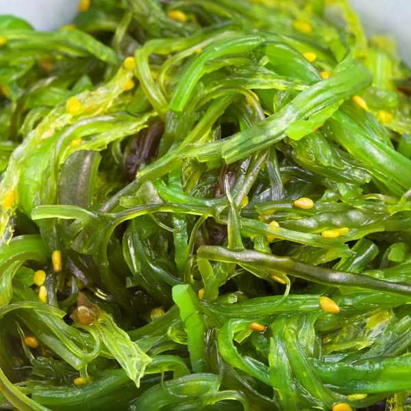 Салат из чуки - салат из морских водорослей — стоковое фото