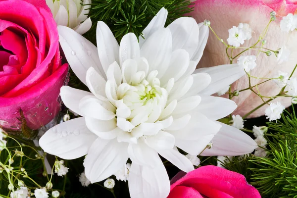 Witte chrysanth in bloemboeket — Stockfoto