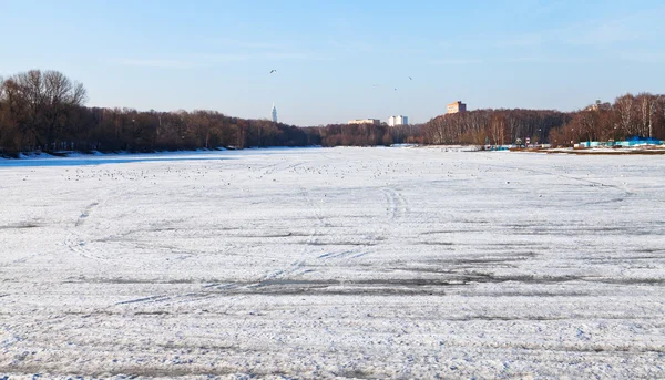 Frozen urban lake — Stock Photo, Image