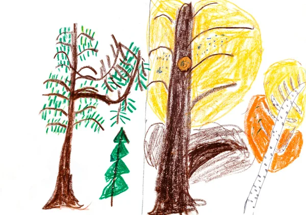 Child's drawing - coniferous and larch trees — Stock Photo, Image