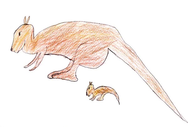 Rysunek dziecka - australijski kangur — Zdjęcie stockowe