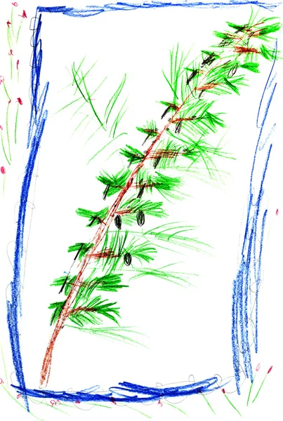 Desenho de criança - ramo livre de abeto — Fotografia de Stock