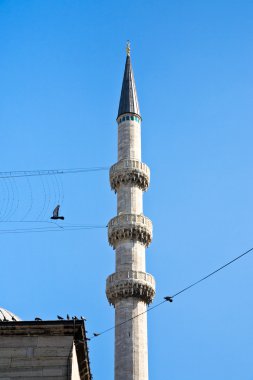 kuşlar ve istanbul'da Minare