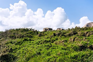 moorland on a hillside