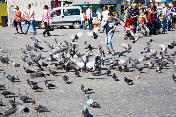 Garçon nourrit colombes sur vieux carré — Photo