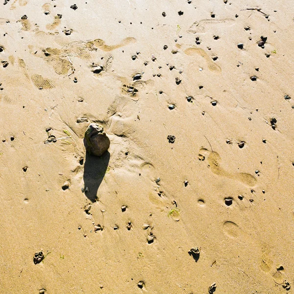 Boulder on sandy beach — Stock Photo, Image