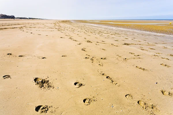 Empty sand beach of english channel — Stock Photo, Image