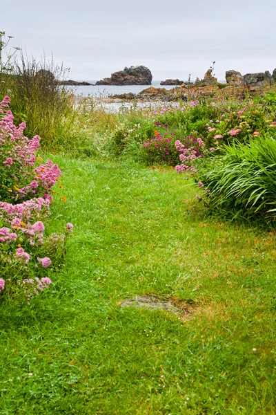 Groen gras kustlijn van Engels kanaal — Stockfoto