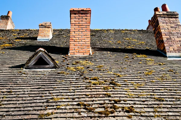Roof and chimneys — Stock Photo, Image