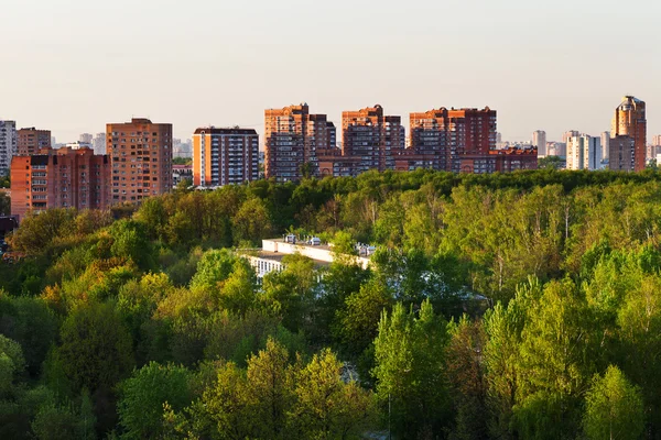 Zielony park miejski w letni wieczór — Zdjęcie stockowe