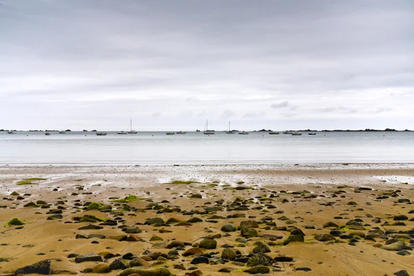 La manche coastline at low tide, Brittany — Stock Photo, Image