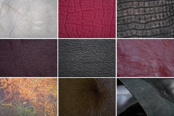 Läder texturer — Stockfoto