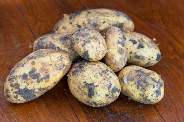Žlutá syrové brambory — Stock fotografie