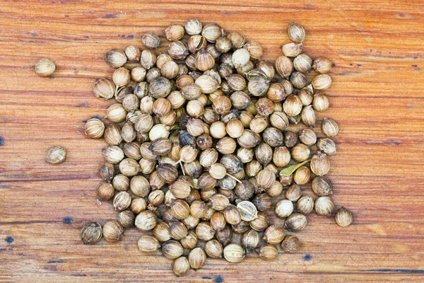 Dried coriander seeds — Stock Photo, Image