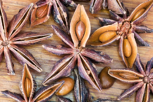 Anise árbol estrella semillas — Foto de Stock