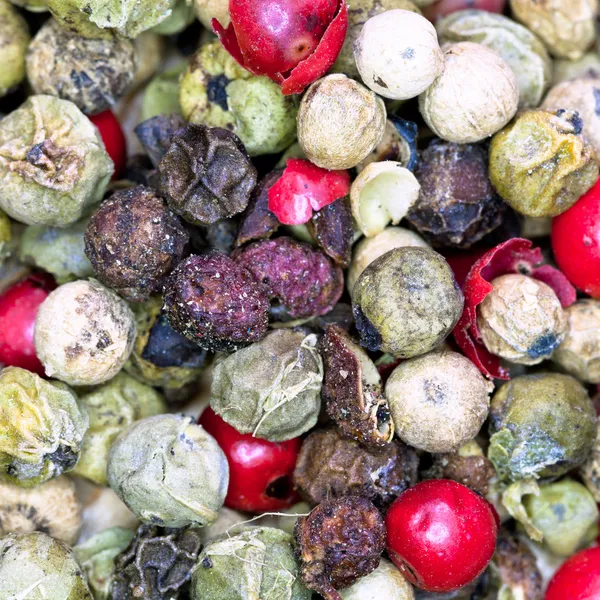 Macro vista de granos de pimienta diferentes —  Fotos de Stock