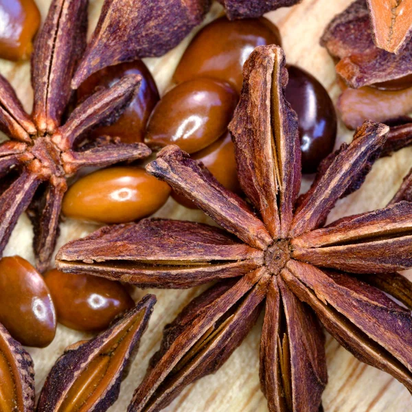 Macro view of Anisetree star seeds — Stock Photo, Image