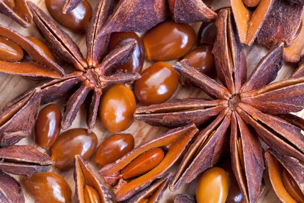Macro view of illicium star seeds — Stock Photo, Image