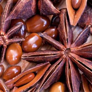 Makro görünümü yıldız anason tohumu