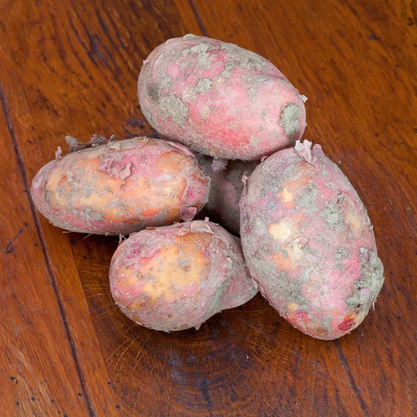 Varias papas nuevas de color rosa crudo — Foto de Stock