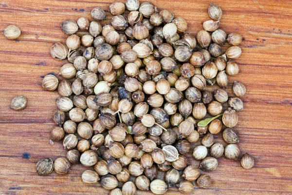 Dried coriander seeds — Stock Photo, Image