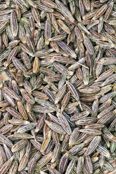 Background from dried cumin seeds — Stock Photo, Image