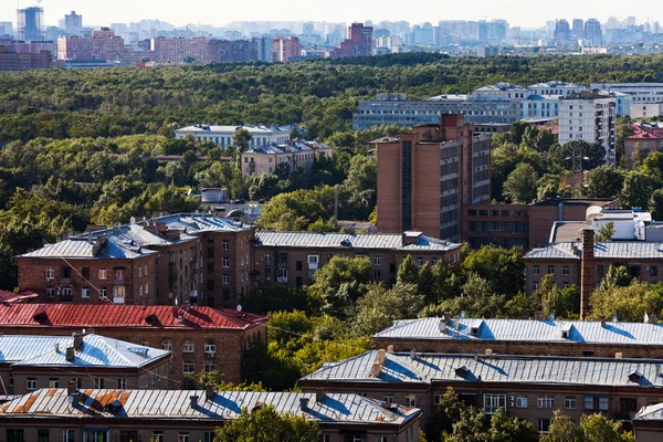 Groene omgeving in Moskou — Stockfoto