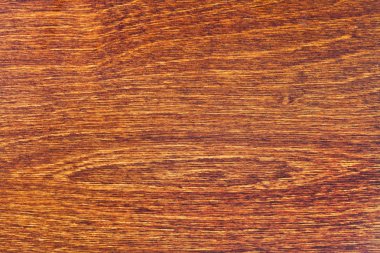 tonda huş ağacı ahşap