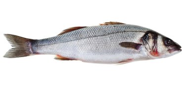 levrek