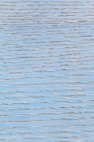 Blau tönendes Eschenholz — Stockfoto