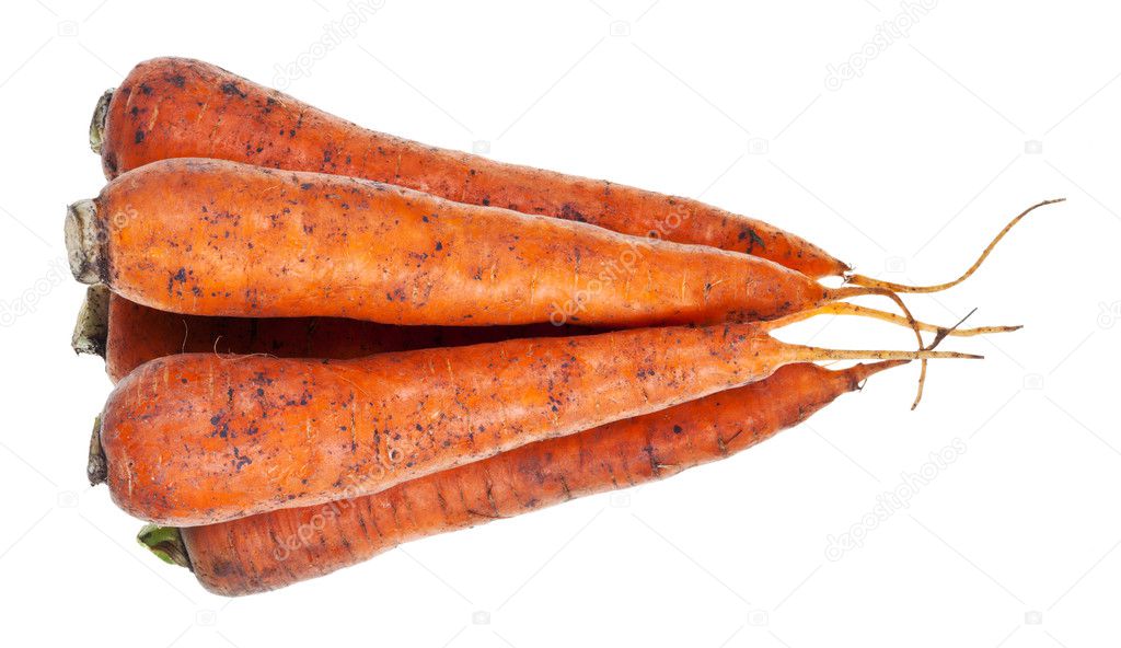 heap of fresh orange carrots