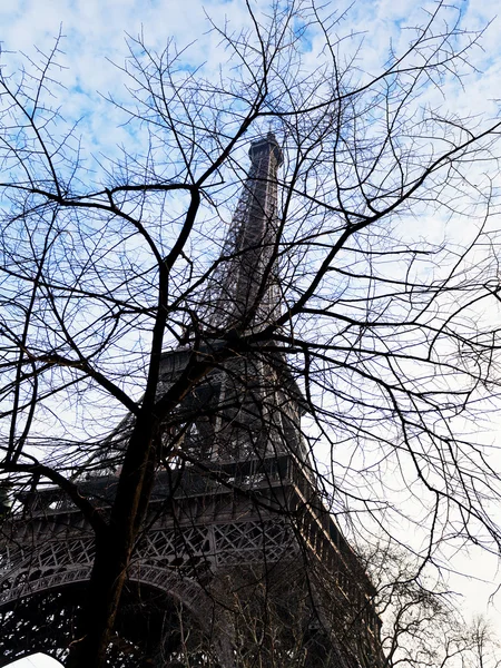 Eiffel tower and tree branches in Paris in spring — Stock Photo, Image