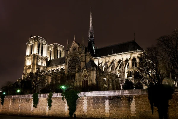 Katedra notre dame de paris — Zdjęcie stockowe