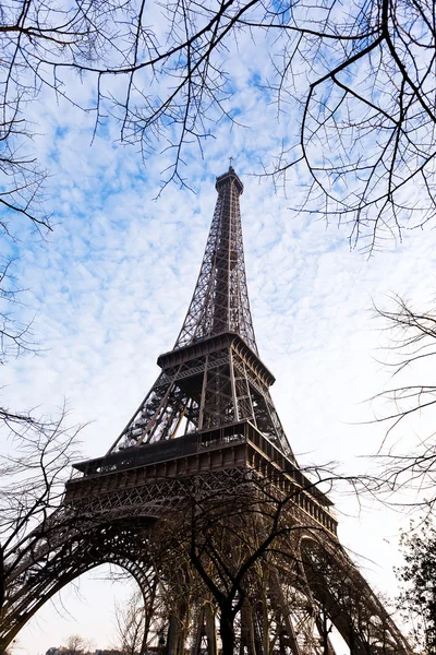 春のパリのエッフェル タワーと木の枝 — ストック写真