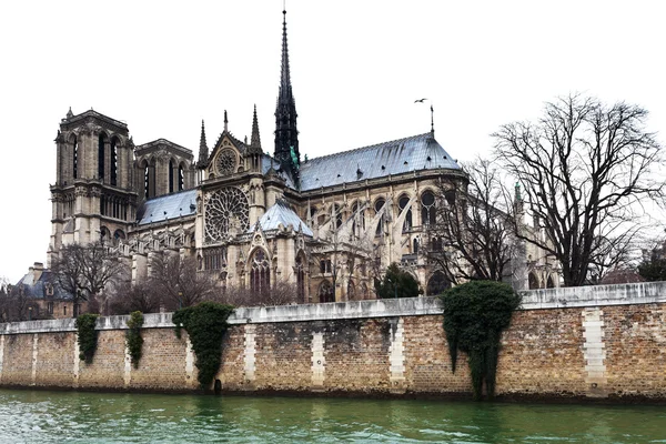 Katedra notre dame de paris — Zdjęcie stockowe