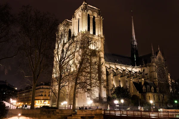 Katedralen notre dame de paris på natten — Stockfoto