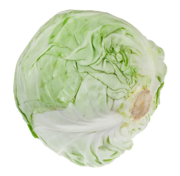 Head of cabbage — Stock Photo, Image