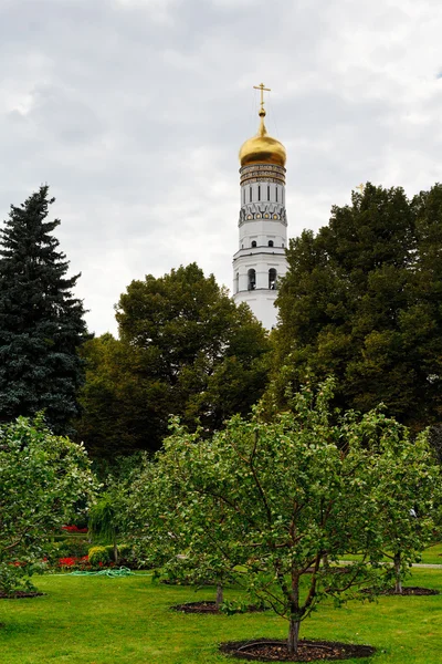 Тайницкий сад в Московском Кремле — стоковое фото