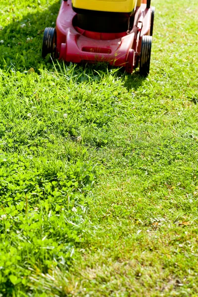 Lawn mower mows green lawn — Stock Photo, Image
