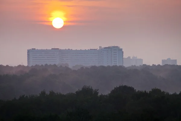 Sol y rosa amanecer sobre la ciudad —  Fotos de Stock