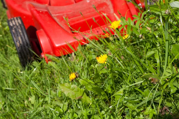 Grama verde e cortador de grama vermelho — Fotografia de Stock