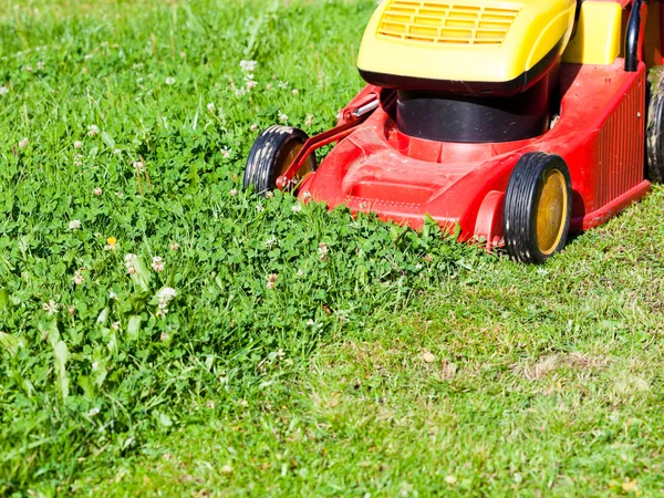 잔디 깎는 기계 잔디 mows — 스톡 사진