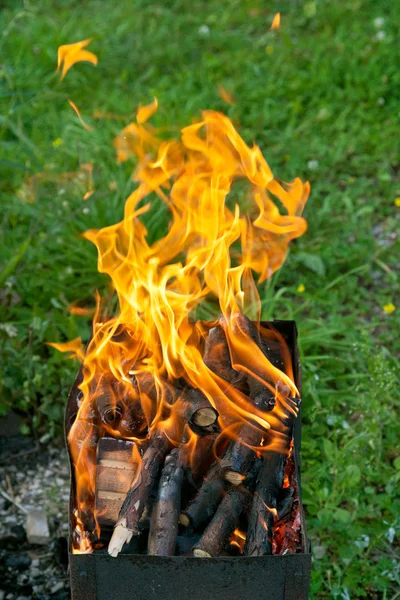 Языки пламени на жаровне — стоковое фото