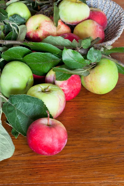 Frische Sommeräpfel auf Holztisch — Stockfoto